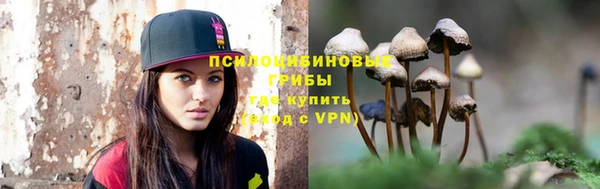 ГАЛЛЮЦИНОГЕННЫЕ ГРИБЫ Кодинск