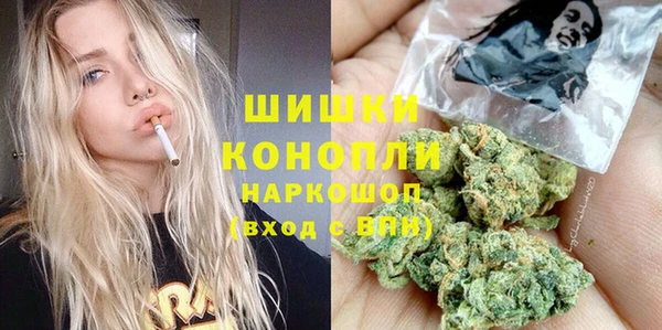 2c-b Козельск
