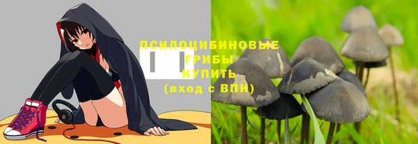 ГАЛЛЮЦИНОГЕННЫЕ ГРИБЫ Кодинск