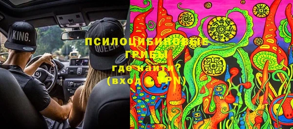 ГАЛЛЮЦИНОГЕННЫЕ ГРИБЫ Кодинск