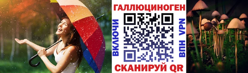 Псилоцибиновые грибы прущие грибы  Купить  Ахтырский 